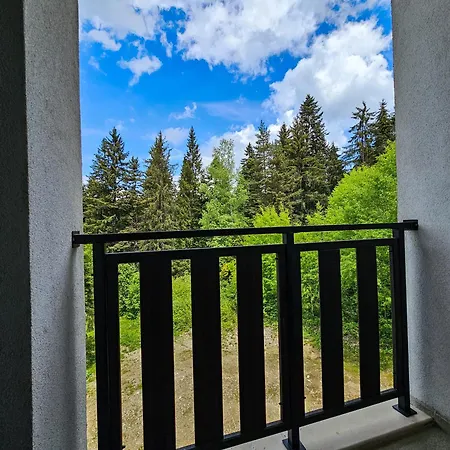 Klepalski- Forest View