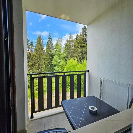 Forest View D25 * Borovets