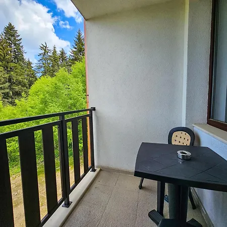 Forest View D25