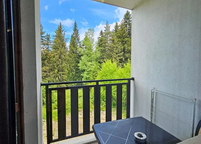 Forest View D25 * Borovets